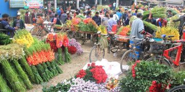 গদখালীতে ফুল বাজারে ধ্বস