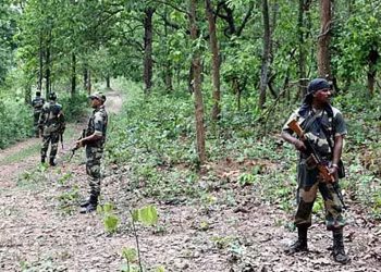ভারতে জঙ্গলে ব্যাপক বন্দুকযুদ্ধ