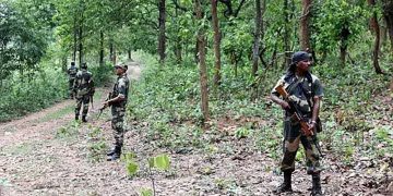 ভারতে জঙ্গলে ব্যাপক বন্দুকযুদ্ধ