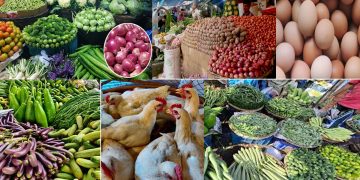 দেশি পেঁয়াজ ও সবজিতে স্বস্তি