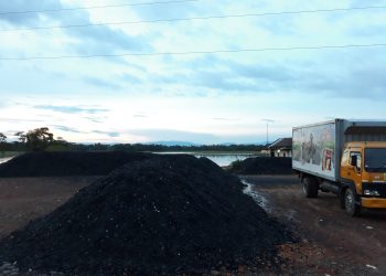 দখল হচ্ছে শেওলা স্থলবন্দরের জায়গা