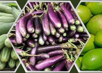 ফলের বাজার চড়া, লেবু শসার দামও ঊর্ধ্বমুখী