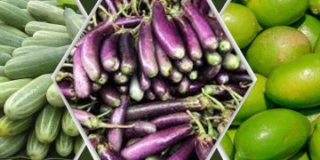 ফলের বাজার চড়া, লেবু শসার দামও ঊর্ধ্বমুখী