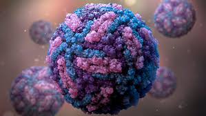 প্রথমবারের মতো দেশে জিকা ভাইরাসের ক্লাস্টার শনাক্ত