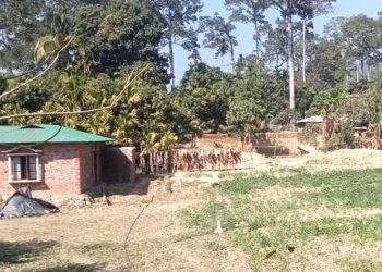 বনের জমি বনে ফিরছে