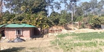 বনের জমি বনে ফিরছে