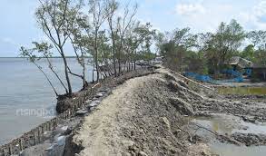 মেয়াদের মধ্যে কাজ শেষ না করায় ঠিকাদারি প্রতিষ্ঠানকে ৫০ লাখ টাকা জরিমানা