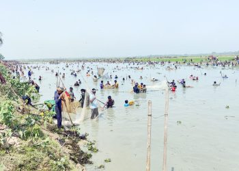 ৭ দিনে জলমহালের ১০ কোটি টাকার মাছ লুট