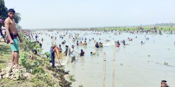 ৭ দিনে জলমহালের ১০ কোটি টাকার মাছ লুট