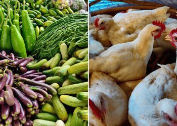 সবজির দাম বেড়েছে, কমেছে মুরগির