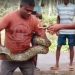 পুকুরে মিললো বিশাল অজগর
