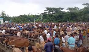 বৃহত্তম পশুর হাট হিসেবে পরিচিতি রয়েছে হাতিয়ার হরনী ইউনিয়নে