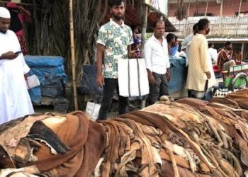 চামড়া ব্যবসায়ী সমিতির ‘কর্তৃত্ব’ ধরে রাখতে মরিয়া