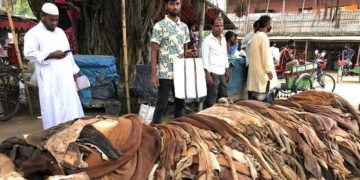 চামড়া ব্যবসায়ী সমিতির ‘কর্তৃত্ব’ ধরে রাখতে মরিয়া