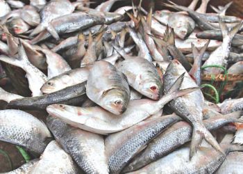 বাজারে পহেলা বৈশাখ ঘিরে উত্তাপ