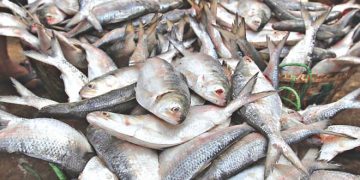 বাজারে পহেলা বৈশাখ ঘিরে উত্তাপ