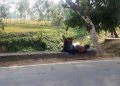 ২৪ জেলায় তাপপ্রবাহ