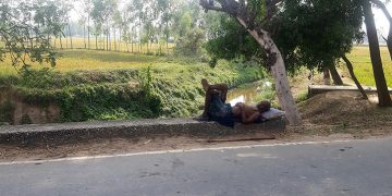 ২৪ জেলায় তাপপ্রবাহ