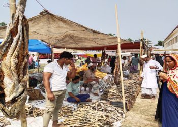 ঐতিহ্যবাহী শুঁটকি মেলায় উপচে পড়া ভিড়