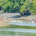 দিবসের মতোই হারিয়ে যাচ্ছে সুন্দরবন