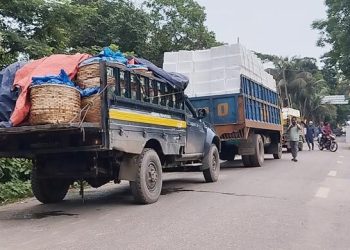 আখাউড়া স্থলবন্দর দিয়ে ভারতে মাছ রপ্তানি শুরু