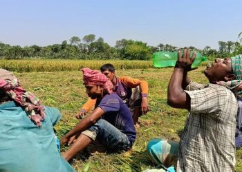 চুয়াডাঙ্গায় আবারো দেশের সর্বোচ্চ তাপমাত্রা ৪১ দশমিক ২ ডিগ্রি সেলসিয়াস