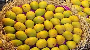 ভারতের কোটি টাকার আম ফেরত পাঠিয়েছে আমেরিকা