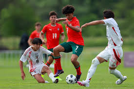 রোনালদো জুনিয়রের জোড়া গোলে চ্যাম্পিয়ন পর্তুগাল