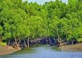 ফের সক্রিয় সুন্দরবনের দস্যু বাহিনী