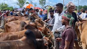 আজ থেকেই জমবে পশুর হাট
