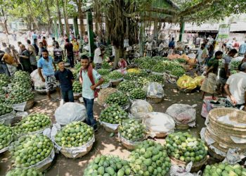 আমের ‘ঢলন’ প্রথায় ক্ষতিগ্রস্ত চাষি