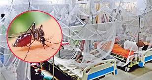 ভয়াবহ রূপ নিচ্ছে ডেঙ্গু, সাত দিনে ২৫ জনের মৃত্যু