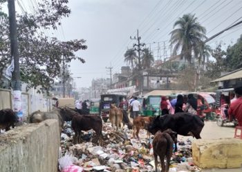 দুর্গন্ধে বাড়িতে টেকাই দায় গ্রামবাসীর