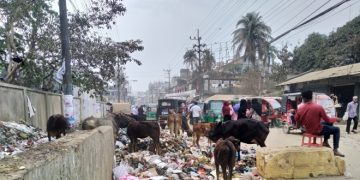 দুর্গন্ধে বাড়িতে টেকাই দায় গ্রামবাসীর