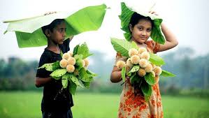 আজ পয়লা আষাঢ়