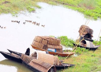 ভরা বর্ষায়ও পানিশূন্য চলনবিল