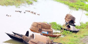 ভরা বর্ষায়ও পানিশূন্য চলনবিল