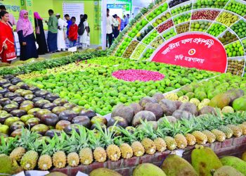 বৃহস্পতিবার শুরু হচ্ছে জাতীয় ফল মেলা