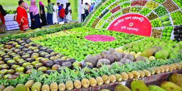 বৃহস্পতিবার শুরু হচ্ছে জাতীয় ফল মেলা
