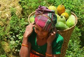 ফলের রাজ্য পার্বত্য চট্টগ্রাম