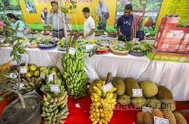 ফল মেলার শেষদিনে বিক্রির ধুম