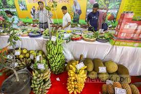 ফল মেলার শেষদিনে বিক্রির ধুম