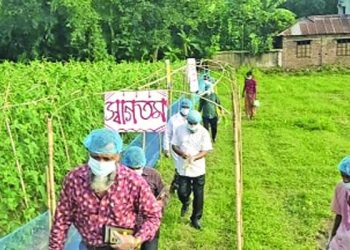 সবজির জমি যেন বিয়ে বাড়ি