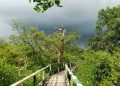 প্রাণ ফিরেছে সুন্দরবনে