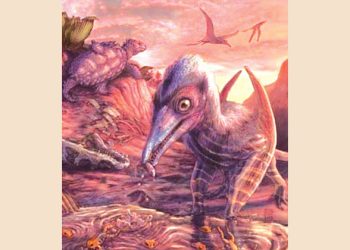 প্রাণীর দেহাবশেষ সন্ধান