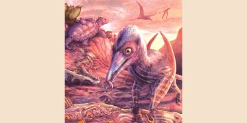 প্রাণীর দেহাবশেষ সন্ধান