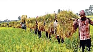 ৪০ শতাংশ কৃষক ন্যায্যমজুরি পান না