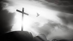 মুক্তির একক ডাক (এম এ ওয়াহাব)