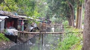 ২০ পরিবারের ১১ ব্যক্তিগত সাঁকো!