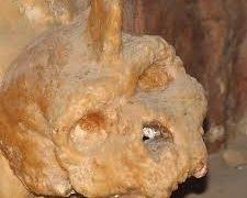 গ্রিসে আবিষ্কৃত রহস্যময় খুলি মানবজাতির নয়, বিলুপ্ত প্রজাতির